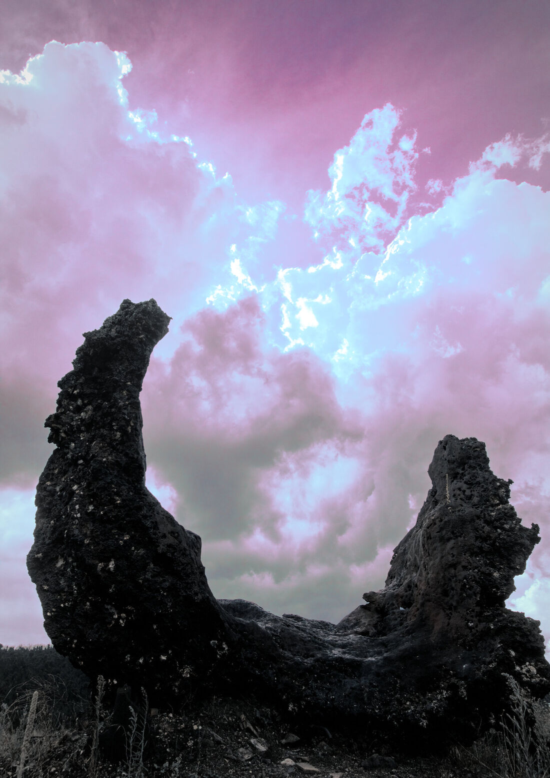 Portal