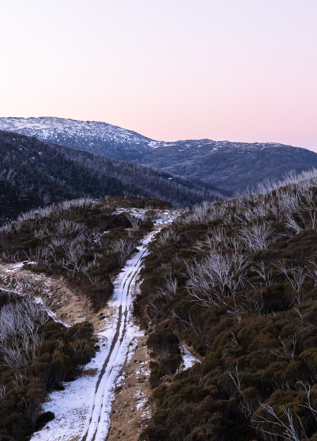 Snowy Path