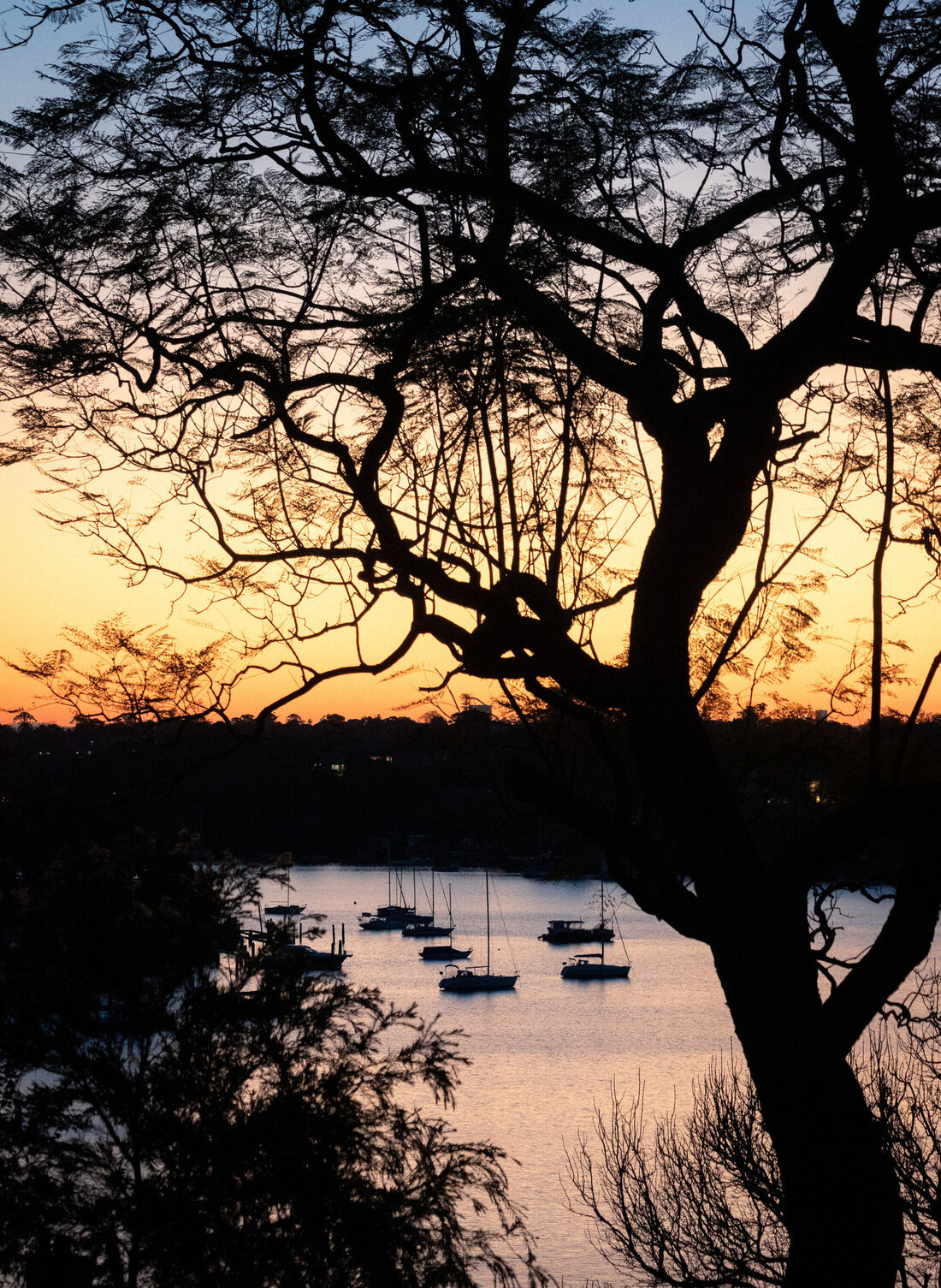 Sunset Over Lane Cove River