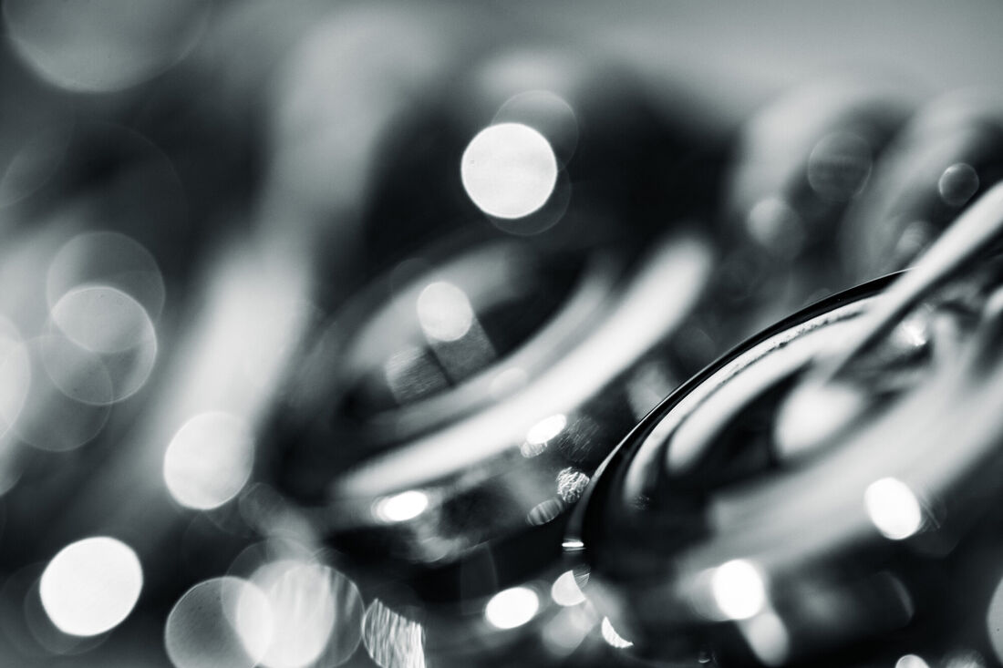 Flute (1)