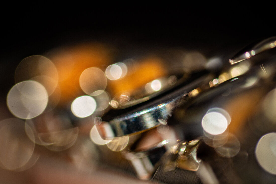 Flute (2)