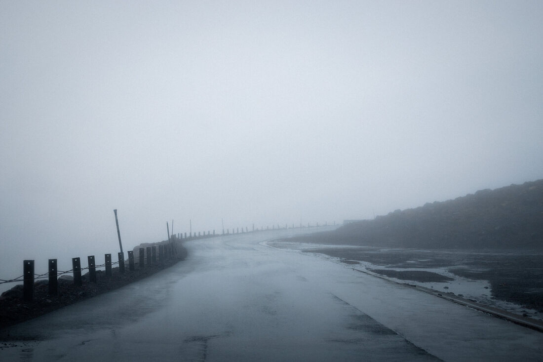 Into the Fog