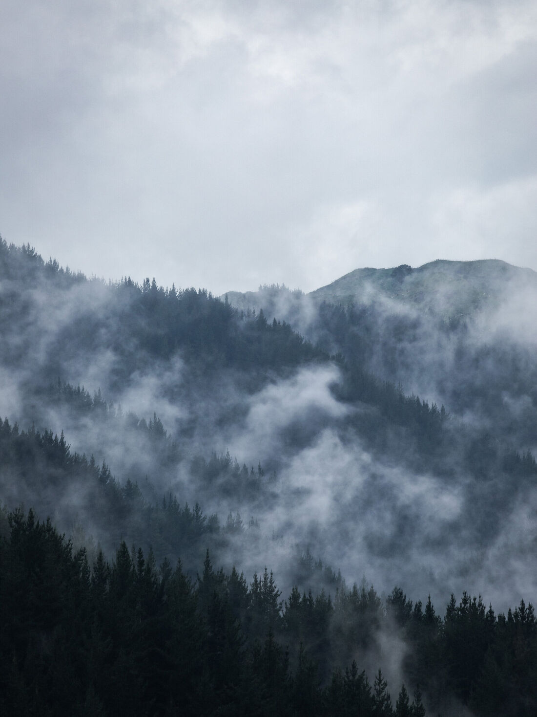 Hazy Hills (2)